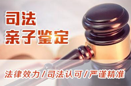 合肥专业司法亲子鉴定机构查询,合肥司法DNA亲子鉴定需要多少钱